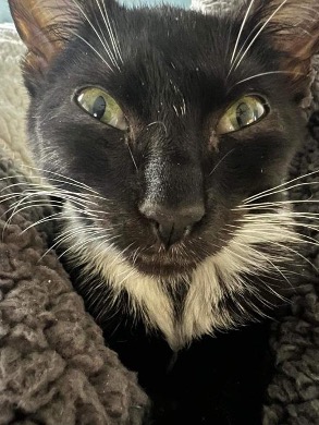 sonny-66d2f8fe75687.jpg