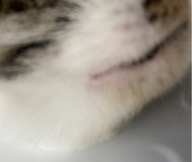 image-20231114190048-11-655353613be76.png