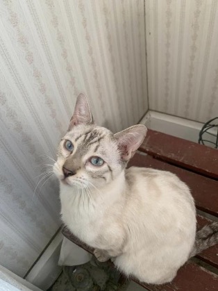 ragnar-66d2fbc3d4377.jpg