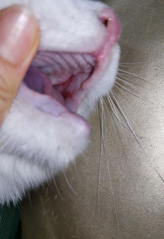 image-20231114190740-11-655354fc79e16.png