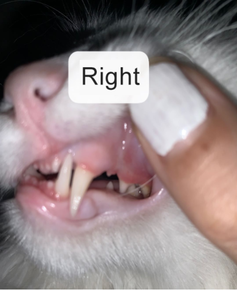 image-20231114190324-2-655353fcc9065.png