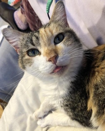 molly-66d2eb7910fff.jpg