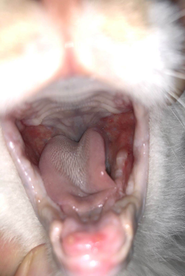 image-20231114191150-7-655355f6878d0.png