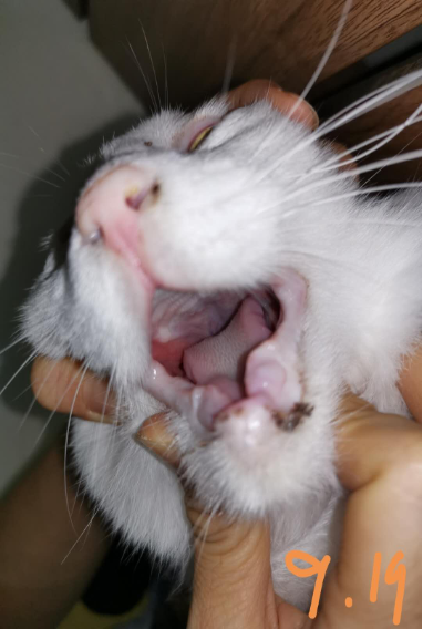 image-20231114190851-22-655355440f3d0.png